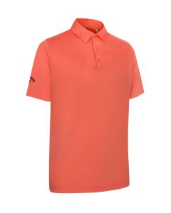 25880:coral_chic