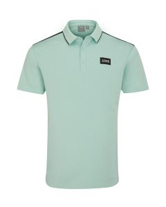 25478:misty_green